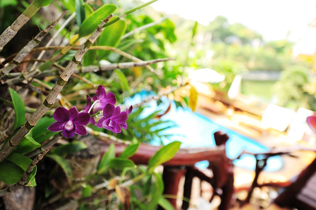 Pp Ingphu Viewpoint Hotel Phi Phi Don Exterior foto
